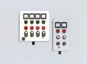 Customizable Ex e Control Boxes