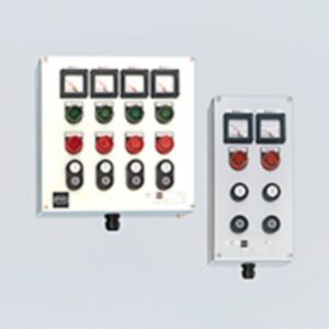 Customizable Ex e Control Boxes